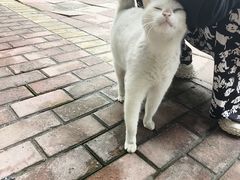 -海门爱心宠物医院