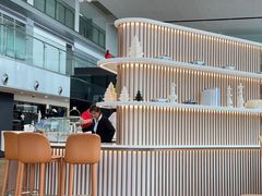 -奔驰上海利星(七宝店)