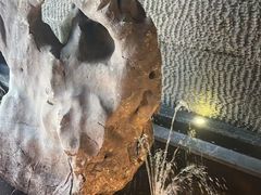 -足本纪·足道 SPA 简餐 小吃(文三西路店)