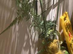 -沐善人家中医·推拿·理疗·三伏灸(新洲店)