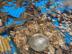 -大连湾旭日·家宴·海肠捞饭(马栏广场店)