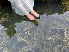 -贡湖湾湿地公园