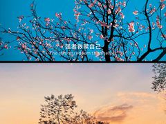 -白帝城·瞿塘峡景区