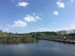 -溱湖国家湿地公园