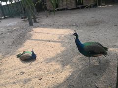 -静之湖湖畔餐厅