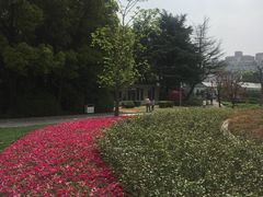 -宋庆龄陵园