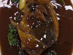 红烧河豚鱼-老人和饭店(打浦路店)