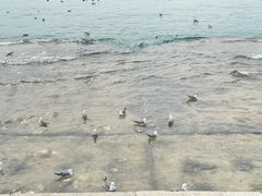 -星海广场