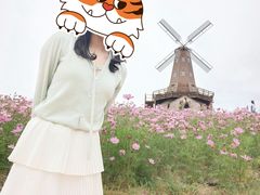 -大塘金香草谷