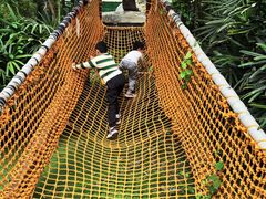 -呀路古热带植物园