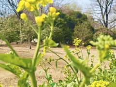 -钟山体育运动公园