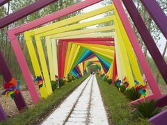 -合肥滨湖国家森林公园