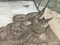 -广东茂名森林公园