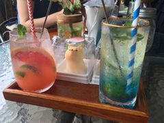 -柴犬高等学院·狗咖·柴犬售卖·宠物训练