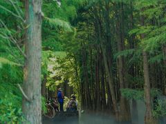 -尚湖风景区