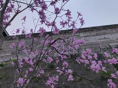 -老门东历史文化街区