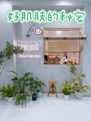 -玛莲朵·海菲秀冰珀科