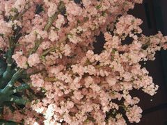 -厦门帝元维多利亚大酒店(环岛路黄厝海滩店)