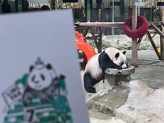 -栾川竹海野生动物园
