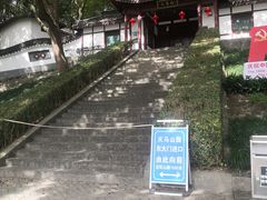 -上海佘山国家森林公园天马山园