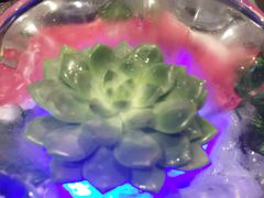 -捞王猪肚鸡火锅(财富中心店)