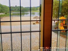 -上海佘山世茂艾美酒店