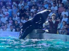 -波塞冬旅游度假区