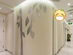 -健身堂科技美肌SPA