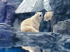 -海合安武汉极地海洋公园