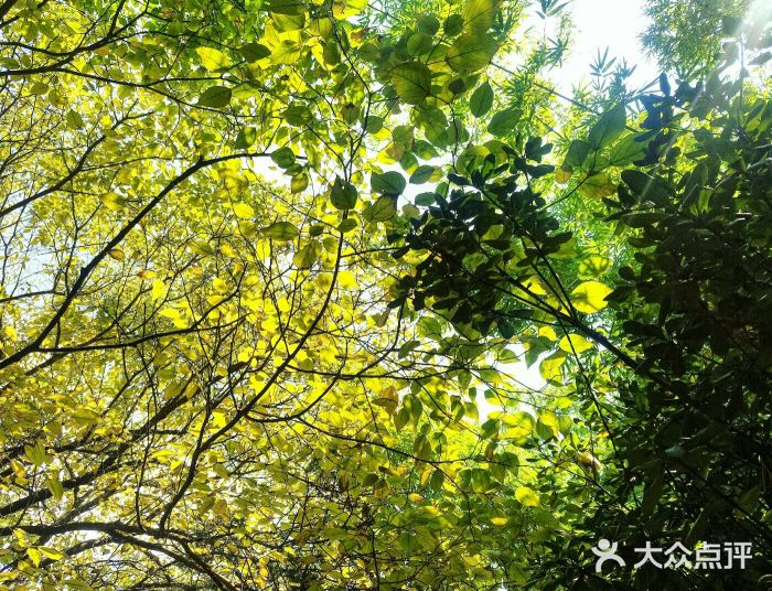 新竹里馆·花园餐厅(兴苑路店)图片