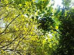 -新竹里馆·花园餐厅(兴苑路店)