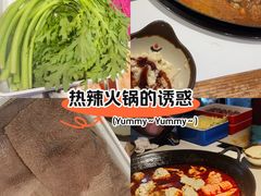 -老天桥蛙炉火锅(姑苏总店)