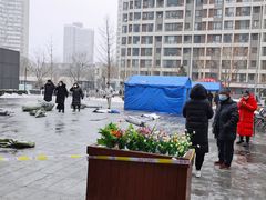 -远洋未来汇