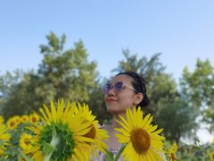 -汉长安城未央宫国家考古遗址公园