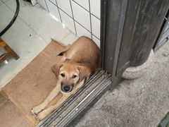 -南翔饭店