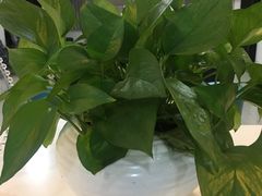 -好乐迪KTV(金钻店)