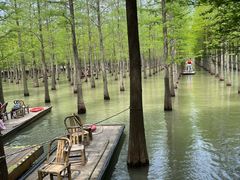 -泗洪洪泽湖湿地景区