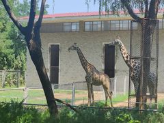 -石家庄市动物园