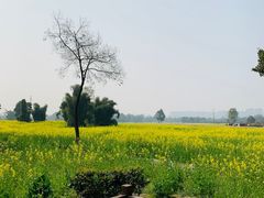 -蜀绣公园