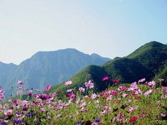 -白草畔自然风景区