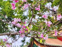-宝墨园景区