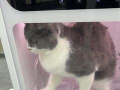 -爱洗澡的猫(天河路店)