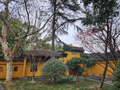-西园戒幢律寺