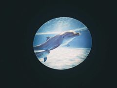 -石林冰雪海洋世界