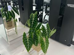 -优享健身(三元桥店)