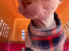 -宠颐生动物医院·心脏科·保险定点(锦阳分院)