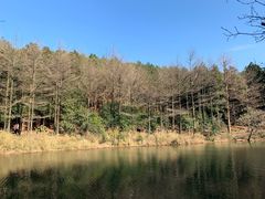 -四明山国家森林公园