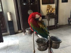 iphone_upload_pic-朱家角课植园