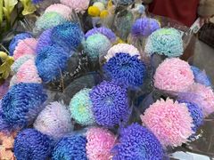 -循礼门鲜花花市(武汉循礼门店)