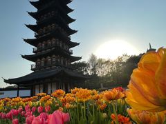 -上海方塔园